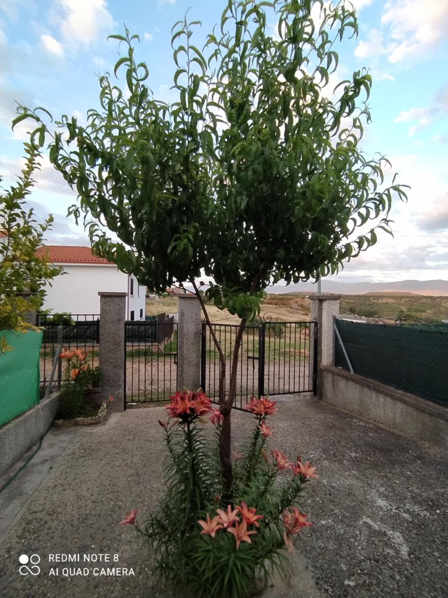 Apartamentos La Presa Guijo de Granadilla エクステリア 写真